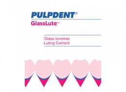 Ionomer Luting Cements Type 1 - PULPDENT