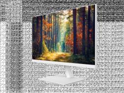 Monitors For Dental Units - FLIGHT DENTAL