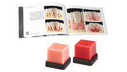 Geo Gingiva Set