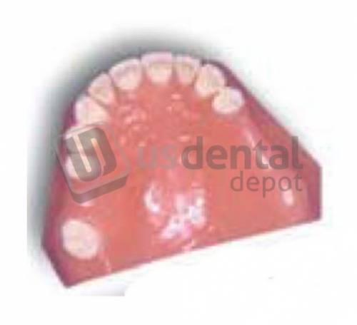 ECCO - Full 2281U Maxillary Model - Upper -