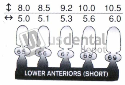 SOLO-Polycarbonate Crowns Refill #69- 5pk