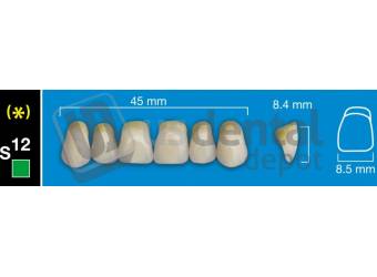 DAVINCI S12 Upper Anterior A4 (1 X 6) - Square -  Davinci 4 layers Denture Acrylic Teeth - Cross linked & Fluorescent with great abrasion resistance