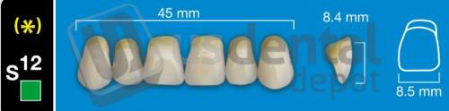 DAVINCI- S12 Upper Anterior B1 (1 X 6) -  Square -  Davinci 4 layers Denture Acrylic Teeth - Cross linked & Fluorescent with great abrasion resistance