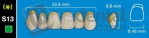 DAVINCI S13 Upper Anterior C3 (1 X 6) - Square -  Davinci 4 layers Denture Acrylic Teeth - Cross linked & Fluorescent with great abrasion resistance
