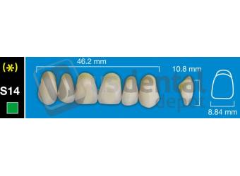 DAVINCI S14 Upper Anterior A0 (1 X 6) - Square -  Davinci 4 layers Denture Acrylic Teeth - Cross linked & Fluorescent with great abrasion resistance