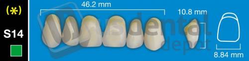 DAVINCI S14 Upper Anterior A2 (1 X 6) - Square -  Davinci 4 layers Denture Acrylic Teeth - Cross linked & Fluorescent with great abrasion resistance