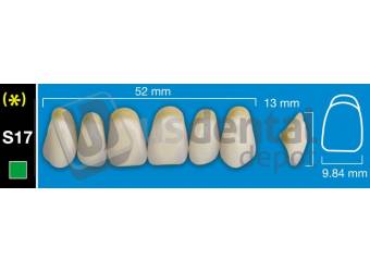 DAVINCI- S17 Upper Anterior A2 (1 X 6) - Square -  Davinci 4 layers Denture Acrylic Teeth - Cross linked & Fluorescent with great abrasion resistance