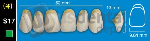DAVINCI- S17 Upper Anterior A2 (1 X 6) - Square -  Davinci 4 layers Denture Acrylic Teeth - Cross linked & Fluorescent with great abrasion resistance
