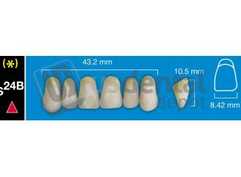 DAVINCI- S24B Upper Anterior A2 (1 X 6) - Taper -  Davinci 4 layers Denture Acrylic Teeth - Cross linked & Fluorescent with great abrasion resistance