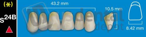 DAVINCI- S24B Upper Anterior A2 (1 X 6) - Taper -  Davinci 4 layers Denture Acrylic Teeth - Cross linked & Fluorescent with great abrasion resistance