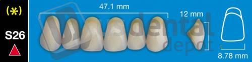 DAVINCI S26 Upper Anterior A2 (1 X 6) - Taper -  Davinci 4 layers Denture Acrylic Teeth - Cross linked & Fluorescent with great abrasion resistance