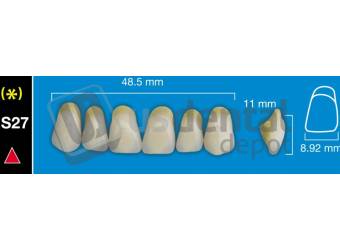 DAVINCI S27 Upper Anterior B1 (1 X 6) - Taper -  Davinci 4 layers Denture Acrylic Teeth - Cross linked & Fluorescent with great abrasion resistance