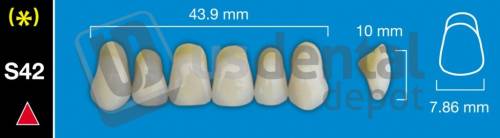 DAVINCI S42 Upper Anterior A2 (1 X 6) - Taper -  Davinci 4 layers Denture Acrylic Teeth - Cross linked & Fluorescent with great abrasion resistance