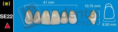 DAVINCI SE22 Upper Anterior A1 (1 X 6) - Taper -  Davinci 4 layers Denture Acrylic Teeth - Cross linked & Fluorescent with great abrasion resistance