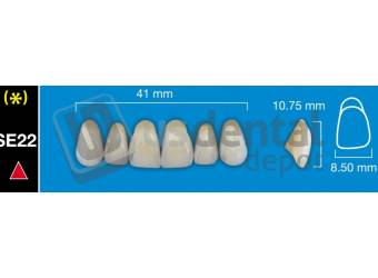 DAVINCI SE22 Upper Anterior C2 (1 X 6) - Taper -  Davinci 4 layers Denture Acrylic Teeth - Cross linked & Fluorescent with great abrasion resistance