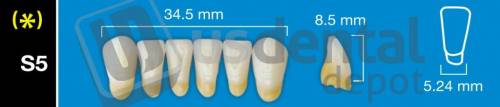 DAVINCI S5 Lower Anterior C3 (1 X 6)  Davinci 4 layers Denture Acrylic Teeth - Cross linked & Fluorescent with great abrasion resistance