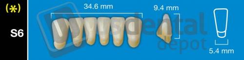 DAVINCI S6 Lower Anterior A2 (1 X 6)  Davinci 4 layers Denture Acrylic Teeth - Cross linked & Fluorescent with great abrasion resistance