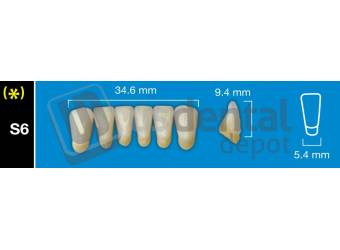 DAVINCI S6 Lower Anterior B1 (1 X 6)  Davinci 4 layers Denture Acrylic Teeth - Cross linked & Fluorescent with great abrasion resistance