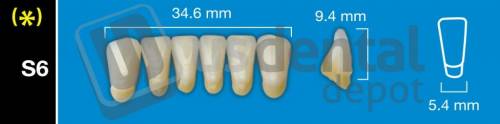 DAVINCI S6 Lower Anterior B1 (1 X 6)  Davinci 4 layers Denture Acrylic Teeth - Cross linked & Fluorescent with great abrasion resistance