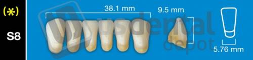 DAVINCI S8 Lower Anterior A3.5 (1 X 6)  Davinci 4 layers Denture Acrylic Teeth - Cross linked & Fluorescent with great abrasion resistance