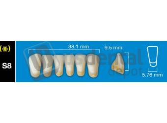 DAVINCI S8 Lower Anterior B1 (1 X 6)  Davinci 4 layers Denture Acrylic Teeth - Cross linked & Fluorescent with great abrasion resistance