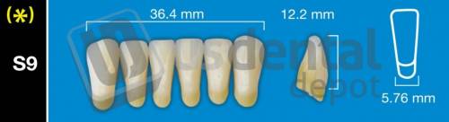 DAVINCI S9 Lower Anterior A0 (1 X 6)  Davinci 4 layers Denture Acrylic Teeth - Cross linked & Fluorescent with great abrasion resistance