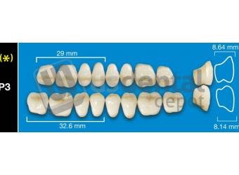DAVINCI- P3 Lower Posteriors A4 (1 X 6)  Davinci 4 layers Denture Acrylic Teeth - Cross linked & Fluorescent with great abrasion resistance