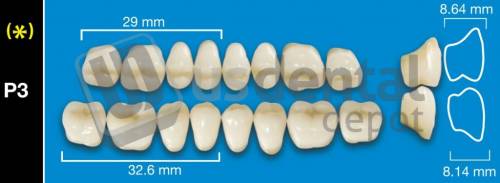 DAVINCI- P3 Lower Posteriors B1 (1 X 6)  Davinci 4 layers Denture Acrylic Teeth - Cross linked & Fluorescent with great abrasion resistance
