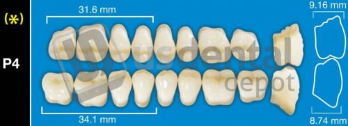 DAVINCI P4 Lower Posteriors A0 (1 X 6)  Davinci 4 layers Denture Acrylic Teeth - Cross linked & Fluorescent with great abrasion resistance