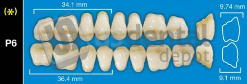 DAVINCI P6 Lower Posteriors A0 (1 X 6)  Davinci 4 layers Denture Acrylic Teeth - Cross linked & Fluorescent with great abrasion resistance