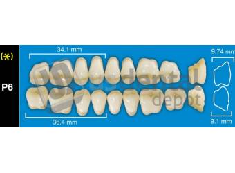 DAVINCI- P6 Lower Posteriors A4 (1 X 6)  Davinci 4 layers Denture Acrylic Teeth - Cross linked & Fluorescent with great abrasion resistance