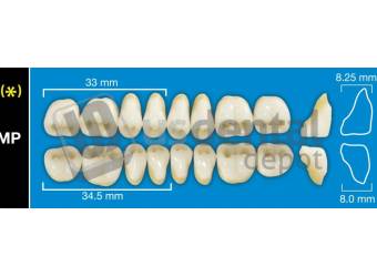 DAVINCI MP5 Upper Posteriors B1 (1 X 6)  Davinci 4 layers Denture Acrylic Teeth - Cross linked & Fluorescent with great abrasion resistance