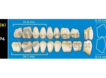DAVINCI P4 Upper Posteriors B1 (1 X 6)  Davinci 4 layers Denture Acrylic Teeth - Cross linked & Fluorescent with great abrasion resistance