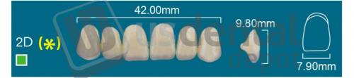 RAFAEL- 2D Upper Anterior D2 (1 X 6)  Rafael 2 layers Denture Acrylic Teeth - Cross linked & Fluorescent with great abrasion resistance