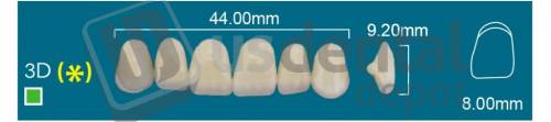 RAFAEL- 3D Upper Anterior A2 (1 X 6)  Rafael 2 layers Denture Acrylic Teeth - Cross linked & Fluorescent with great abrasion resistance