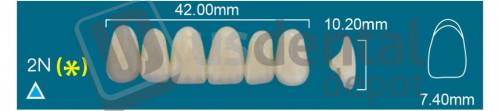 RAFAEL 2N Upper Anterior A0 (1 X 6)  Rafael 2 layers Denture Acrylic Teeth - Cross linked & Fluorescent with great abrasion resistance