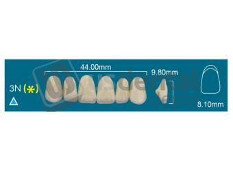 RAFAEL 3N Upper Anterior A4 (1 X 6)  Rafael 2 layers Denture Acrylic Teeth - Cross linked & Fluorescent with great abrasion resistance