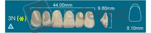 RAFAEL 3N Upper Anterior B3 (1 X 6)  Rafael 2 layers Denture Acrylic Teeth - Cross linked & Fluorescent with great abrasion resistance