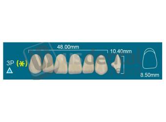 RAFAEL 3P Upper Anterior A0 (1 X 6)  Rafael 2 layers Denture Acrylic Teeth - Cross linked & Fluorescent with great abrasion resistance