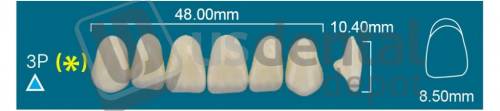 RAFAEL 3P Upper Anterior A1 (1 X 6)  Rafael 2 layers Denture Acrylic Teeth - Cross linked & Fluorescent with great abrasion resistance