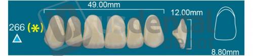 RAFAEL 266 Upper Anterior A3.5 (1 X 6)  Rafael 2 layers Denture Acrylic Teeth - Cross linked & Fluorescent with great abrasion resistance