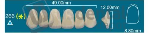 RAFAEL 266 Upper Anterior C2 (1 X 6)  Rafael 2 layers Denture Acrylic Teeth - Cross linked & Fluorescent with great abrasion resistance