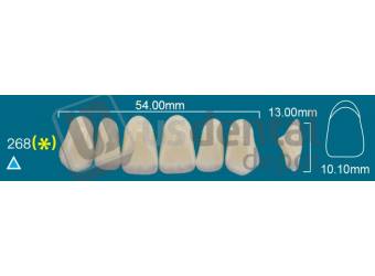 RAFAEL 268 Upper Anterior A3.5 (1 X 6)  Rafael 2 layers Denture Acrylic Teeth - Cross linked & Fluorescent with great abrasion resistance