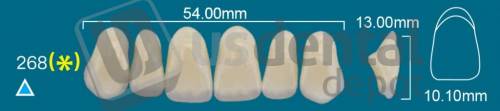 RAFAEL 268 Upper Anterior A3.5 (1 X 6)  Rafael 2 layers Denture Acrylic Teeth - Cross linked & Fluorescent with great abrasion resistance