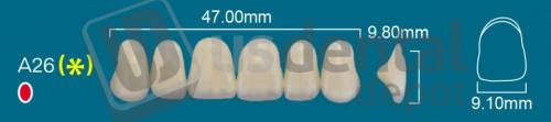 RAFAEL A26 Upper Anterior A0 (1 X 6)  Rafael 2 layers Denture Acrylic Teeth - Cross linked & Fluorescent with great abrasion resistance