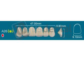 RAFAEL A26 Upper Anterior B3 (1 X 6)  Rafael 2 layers Denture Acrylic Teeth - Cross linked & Fluorescent with great abrasion resistance