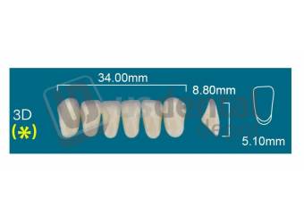 RAFAEL 3D Lower Anterior A4 (1 X 6)  Rafael 2 layers Denture Acrylic Teeth - Cross linked & Fluorescent with great abrasion resistance