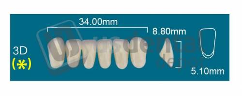 RAFAEL 3D Lower Anterior D2 (1 X 6)  Rafael 2 layers Denture Acrylic Teeth - Cross linked & Fluorescent with great abrasion resistance