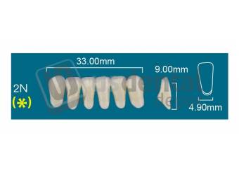 RAFAEL 2N Lower Anterior D3 (1 X 6)  Rafael 2 layers Denture Acrylic Teeth - Cross linked & Fluorescent with great abrasion resistance