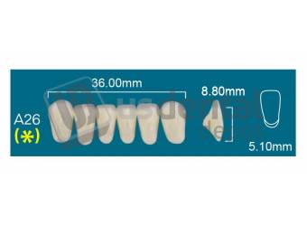 RAFAEL- A26 Lower Anterior D3 (1 X 6)  Rafael 2 layers Denture Acrylic Teeth - Cross linked & Fluorescent with great abrasion resistance
